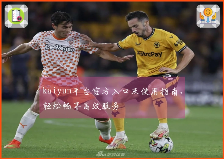 kaiyun平台官方入口及使用指南，轻松畅享高效服务