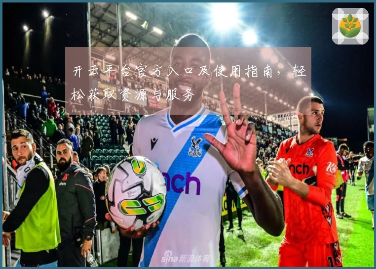 开云平台官方入口及使用指南，轻松获取资源与服务