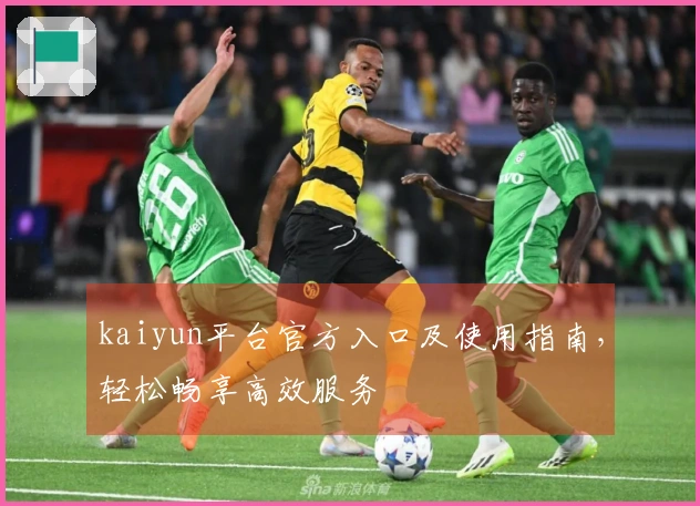 kaiyun平台官方入口及使用指南，轻松畅享高效服务