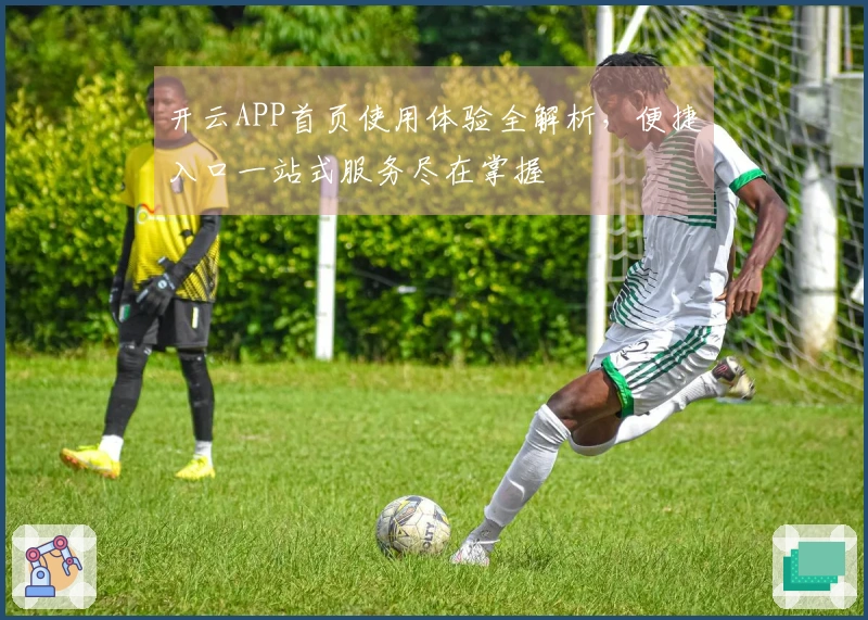 开云APP首页使用体验全解析，便捷入口一站式服务尽在掌握